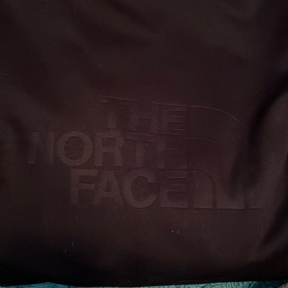 The North face men’s M hooded sweatshirt